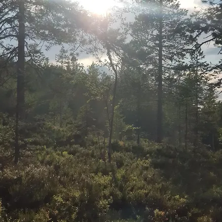 In Kongsberg, Jondalen