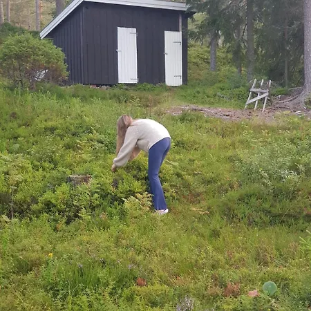 In Kongsberg, Jondalen Kongsberg