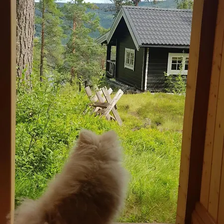 In Kongsberg, Jondalen *
