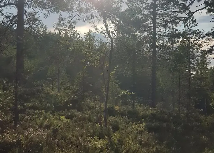 In Kongsberg, Jondalen