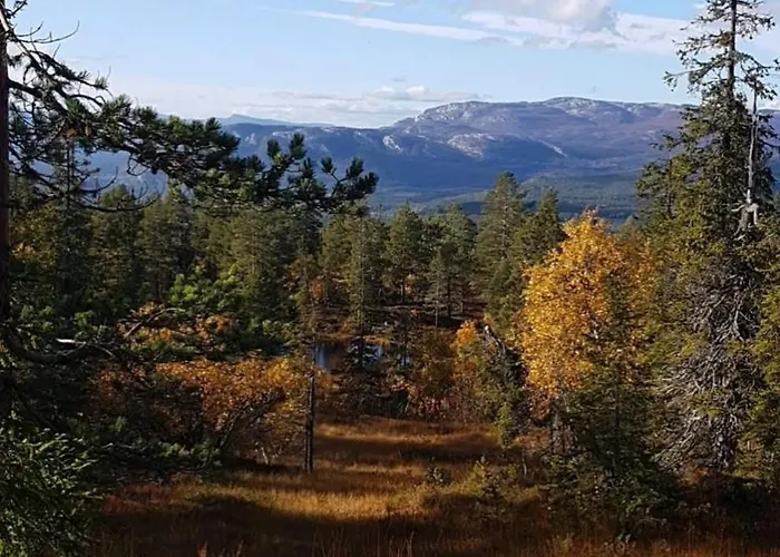 Hébergement de vacances In Kongsberg, Jondalen Kongsberg