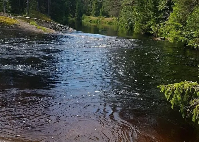 Hébergement de vacances In Kongsberg, Jondalen *