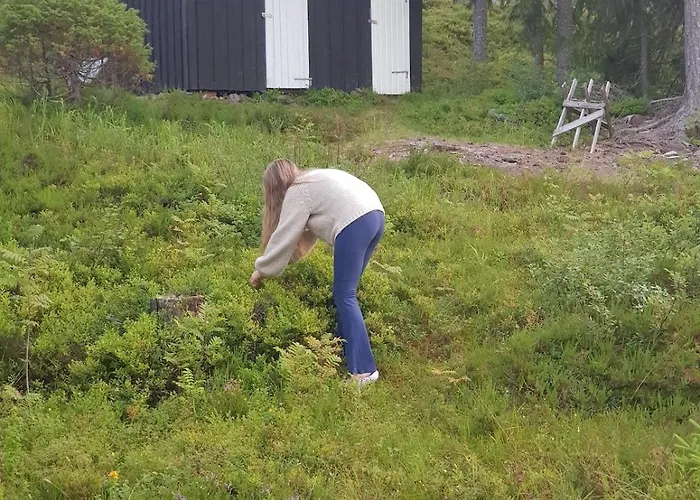 In Kongsberg, Jondalen Kongsberg