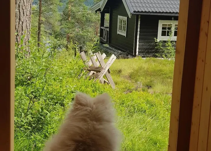 In Kongsberg, Jondalen *